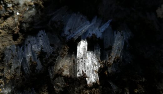 【写真】霜の結晶2