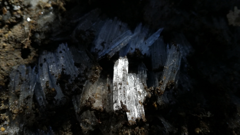 霜の結晶の写真